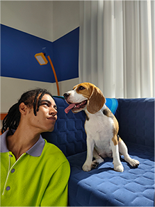 AI Cutout