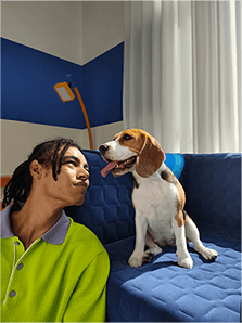 AI Cutout