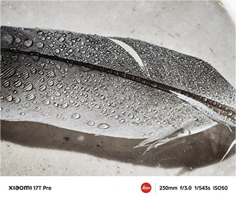 Pióro pokryte kroplami wody sfotografowane aparatem Xiaomi 17T Pro