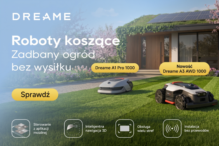 DREAME KAMPANIA