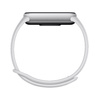 Smartband Xiaomi Smart Band 10 Glacier Silver